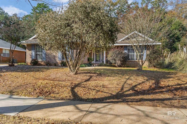 view of property hidden behind natural elements with a front yard