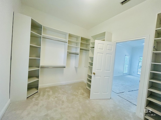2613 Charlotte Oaks Dr, Mobile, AL 36695 - spacious closet with light colored carpet