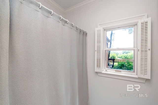 41 Yester Pl, Mobile, AL 36608 - full bath with a shower with curtain and crown molding