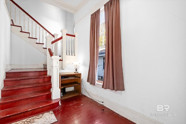 staircase with wood-type flooring