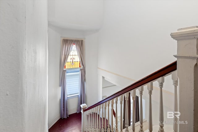 stairway featuring hardwood / wood-style flooring