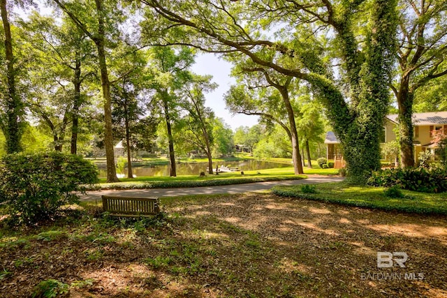 view of community featuring a water view