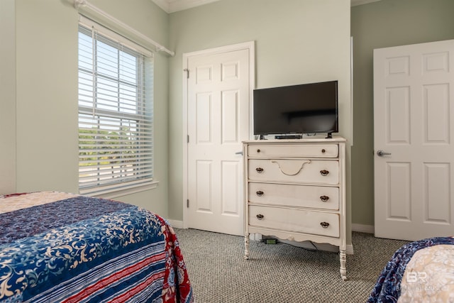 carpeted bedroom with multiple windows and ornamental molding