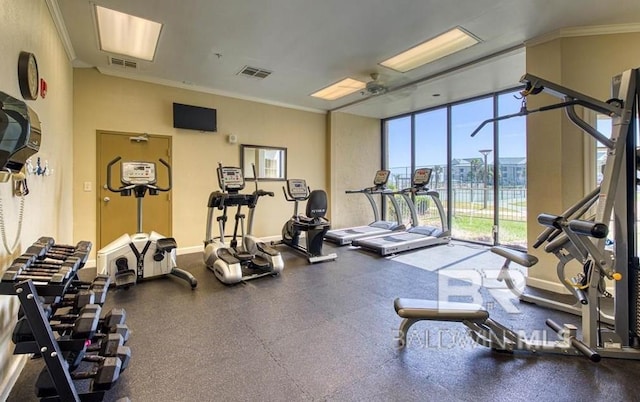 workout area featuring ornamental molding, ceiling fan, and a wall of windows