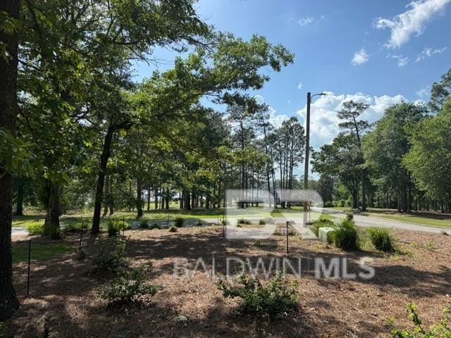 32877 Range Ln, Loxley AL, 36551 land for sale