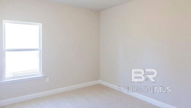 spare room with a wealth of natural light and light carpet