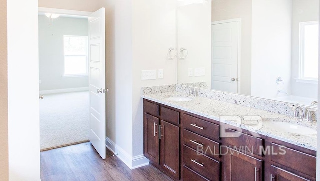 bathroom featuring wood-type flooring, vanity, and plenty of natural light