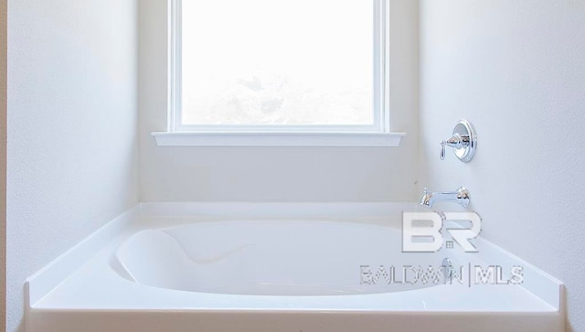 bathroom with a tub and a wealth of natural light