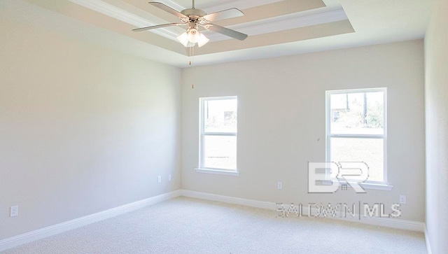 spare room featuring carpet, ceiling fan, crown molding, and a tray ceiling