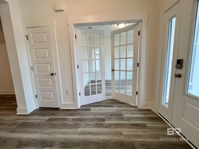 doorway to outside featuring french doors and dark hardwood / wood-style flooring