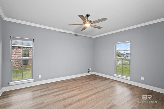 spare room featuring light wood-type flooring, ceiling fan, and crown molding