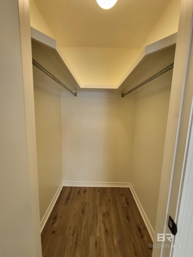 walk in closet featuring dark wood-type flooring