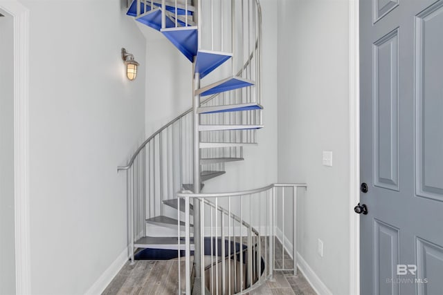 stairway with wood-type flooring