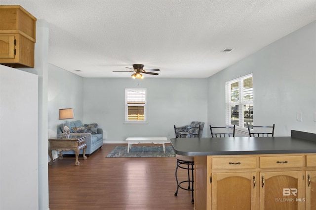 kitchen with a healthy amount of sunlight, dark countertops, a peninsula, and dark wood-type flooring