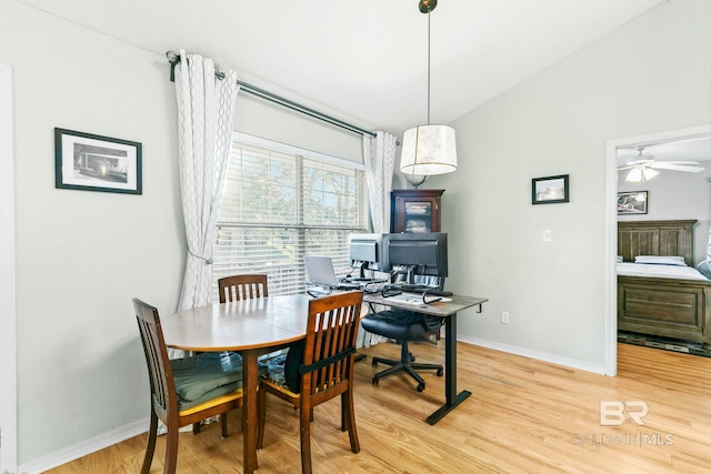 dining space with ceiling fan and light hardwood / wood-style flooring