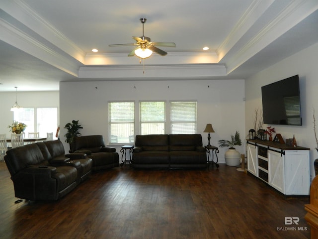 living room featuring dark hardwood / wood-style floors, a raised ceiling, and ornamental molding