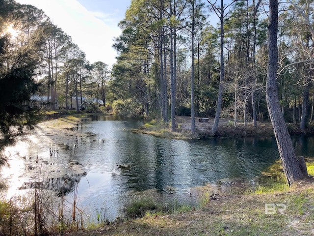 2277 Oyster Bay Ln Unit 502, Gulf Shores, AL 36542 - water view