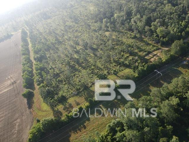0 County Road 95, Elberta, AL 36530