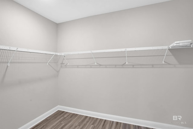 12753 Shoshoney Cir, Fairhope, AL 36532 - spacious closet featuring wood finished floors