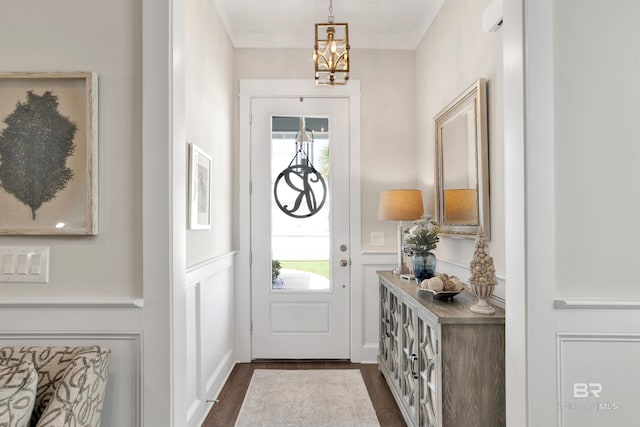 foyer entrance featuring dark wood-style floors, a wainscoted wall, a wealth of natural light, and a decorative wall