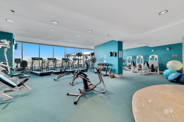 workout area featuring carpet flooring, a healthy amount of sunlight, and recessed lighting