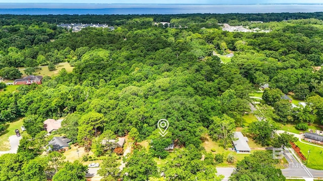 509 Pine St, Daphne, AL 36526 - bird's eye view of a forest and a large body of water