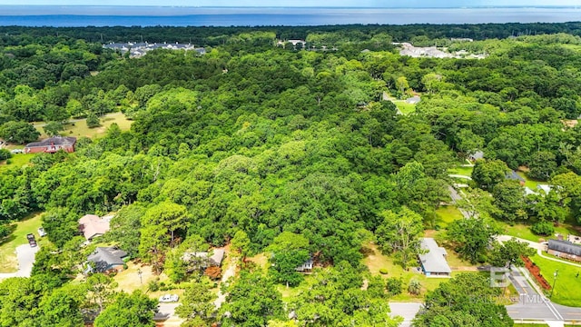509 Pine St, Daphne, AL 36526 - bird's eye view of a forest and a nearby body of water