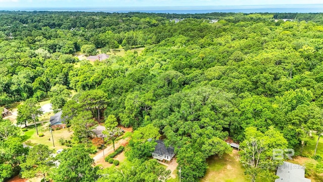 509 Pine St, Daphne, AL 36526 - aerial view of a forest