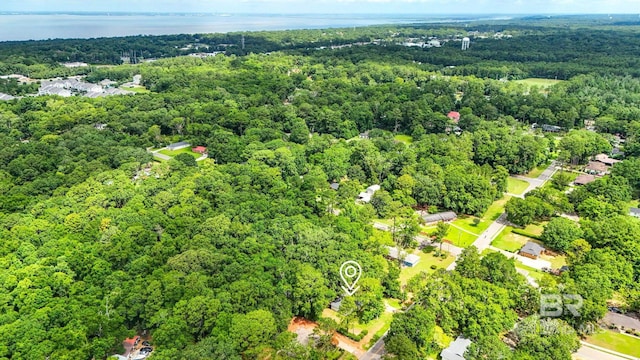 509 Pine St, Daphne, AL 36526 - drone / aerial view of a forest
