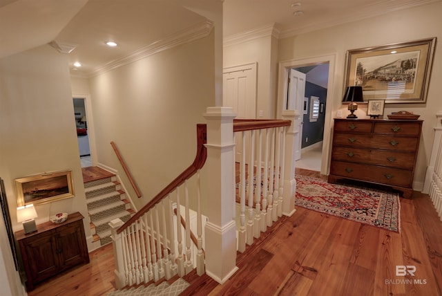 hall featuring hardwood / wood-style floors and ornamental molding