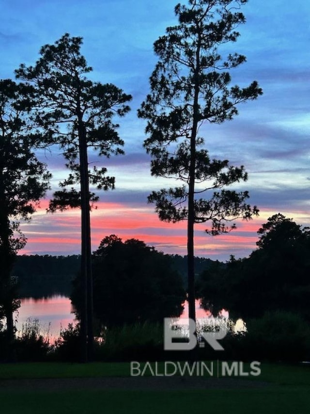 view of nature at dusk