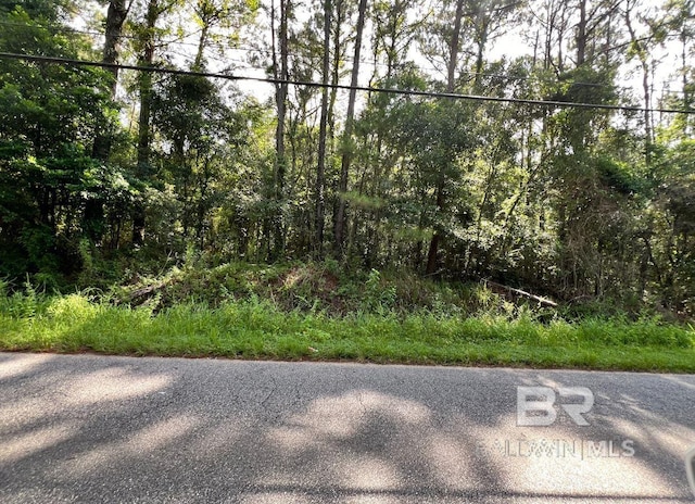 2420 Anton St, Mobile AL, 36612 land for sale