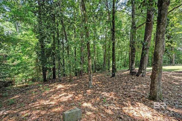 7371 Maureen Cir, Spanish Fort, AL 36527 - view of woods
