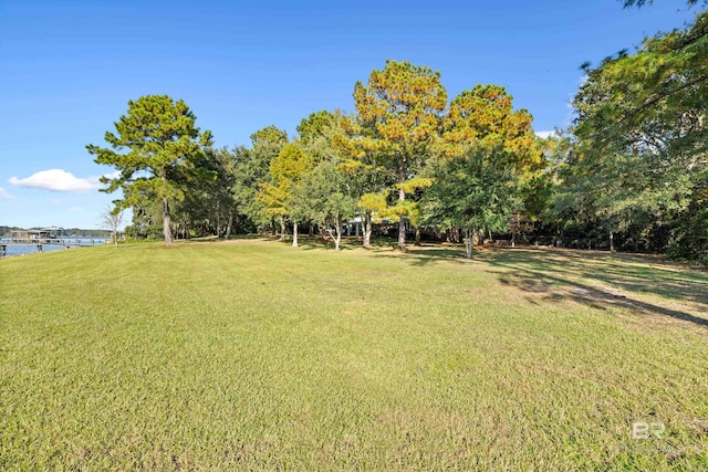 view of yard featuring a water view