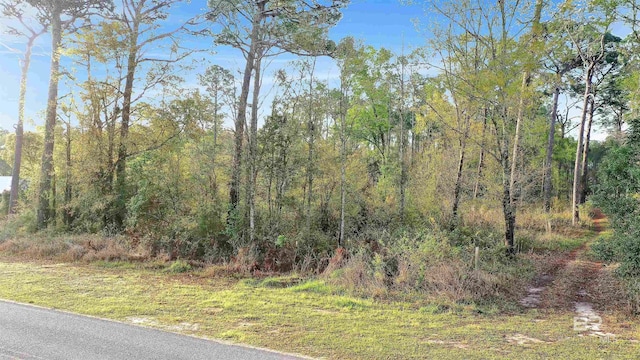 0 S County Road 12, Foley, AL 36535
