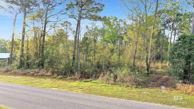 0 S County Road 12, Foley, AL 36535