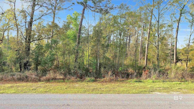 0 S County Road 12, Foley, AL 36535