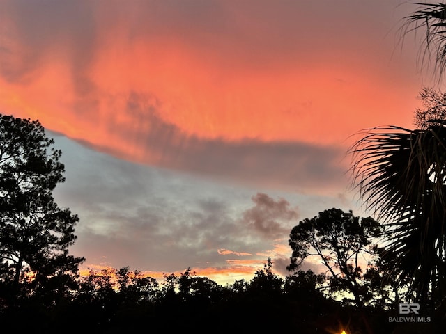 view of nature at dusk