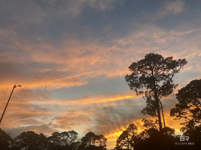 view of nature at dusk