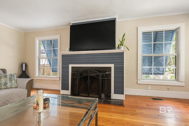 living room with a fireplace, wood-type flooring, and a wealth of natural light