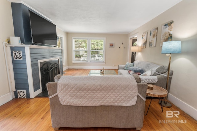 living room with a fireplace and light hardwood / wood-style flooring