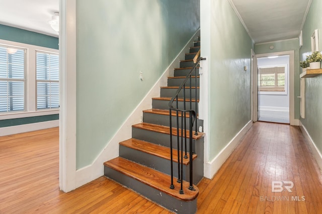 stairway with plenty of natural light and hardwood / wood-style flooring