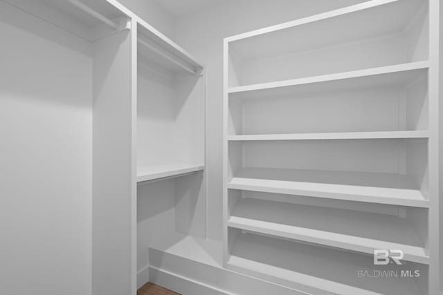 view of walk in closet