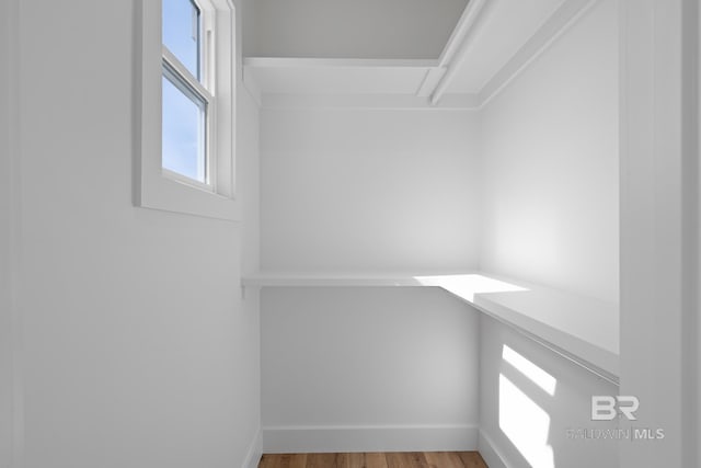 spacious closet featuring hardwood / wood-style floors