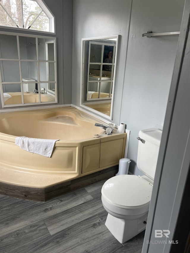 bathroom with wood finished floors and toilet