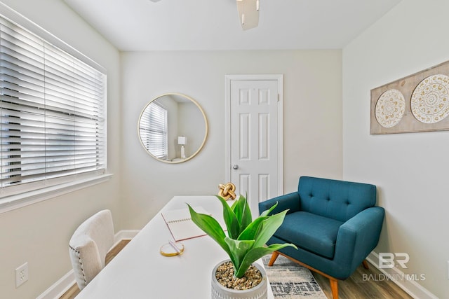 interior space featuring wood-type flooring and ceiling fan