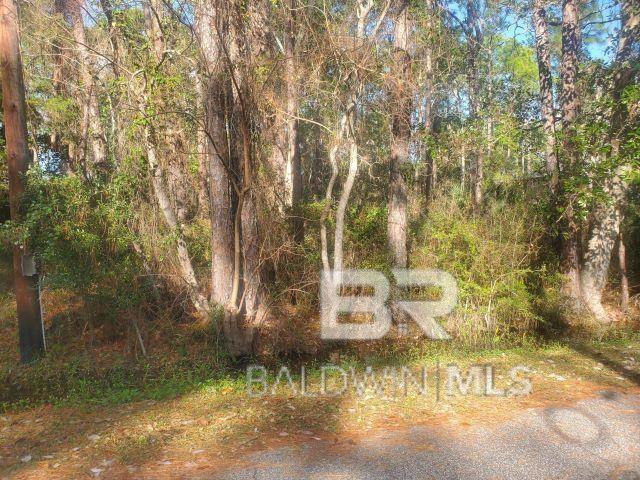 228 Chenault Ave, Dauphin Island AL, 36528 land for sale