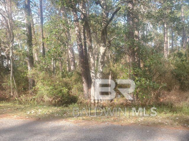 Listing photo 3 for 228 Chenault Ave, Dauphin Island AL 36528