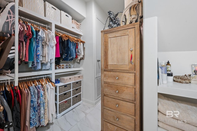 view of spacious closet