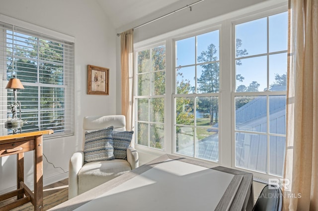 interior space featuring a wealth of natural light, lofted ceiling, and hardwood / wood-style flooring